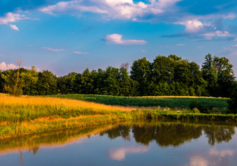 Lake in the countryside. 