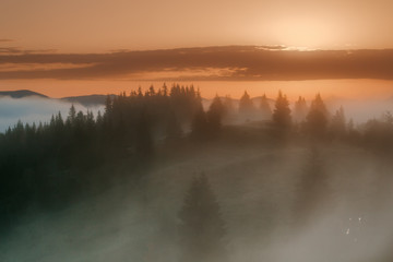 Fototapeta premium Carpathian Mountains. Foggy sunrise over the edge of the forest