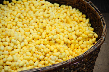 Mulberry silk for handicraft 