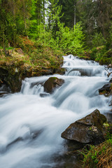 Fototapeta na wymiar Carpathian Mountains. The mountain river near the waterfall Shipot