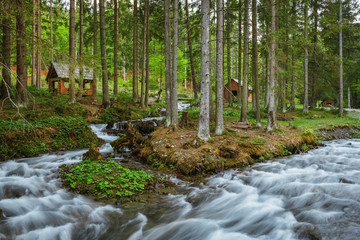 Carpathian Mountains. The mountain river near the waterfall Shipot