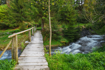 Obraz premium Carpathian Mountains. The mountain river near the waterfall Shipot
