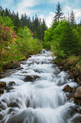 Fototapeta na wymiar Carpathian Mountains. The mountain river near the waterfall Shipot