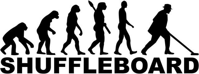 Evolution shuffleboard