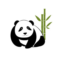 Small panda with bamboo