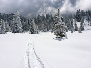 Neige Isère France