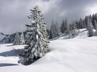 Fototapeta premium Neige Isère France