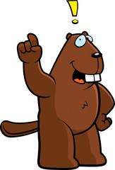 Beaver Idea