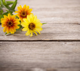 flowers on wooden background