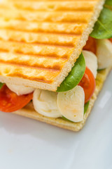 toast sandwich with vegetables and mozzarella on white plate