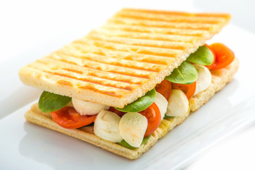toast sandwich with vegetables and mozzarella on white plate