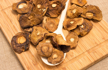 Dried mushrooms on canvas