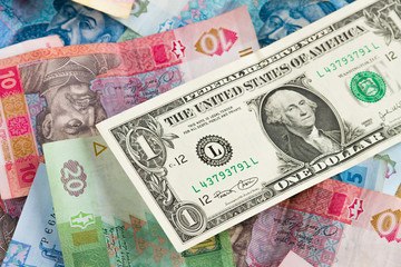 Ukrainian economic crisis: currency rate hryvnia to dollar