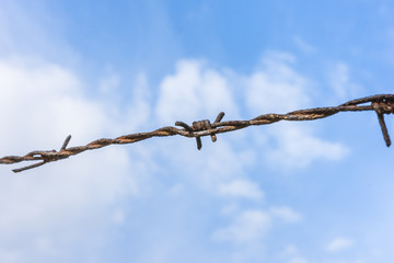Barberd wire on blue sky background