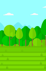 Background of green lawn with trees.
