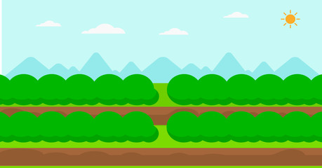 Background of field rows with green bushes.