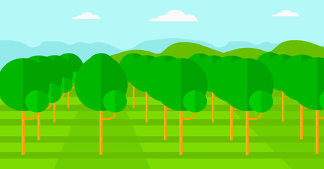 Background of garden with fruit trees.