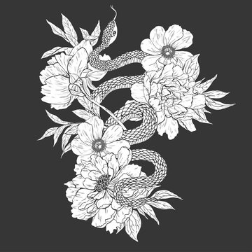 Snakes and flowers. Tattoo art, coloring books.