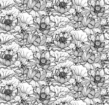 Floral seamless pattern with hand drawn lotus flowers and leaves
