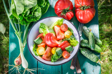 Fresh vegetarian salad in sunny day