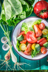 Fresh vegetarian salad in sunny garden