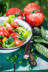 Healthy vegetarian salad in sunny garden