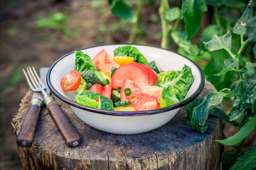 Colorful vegetarian salad in garden