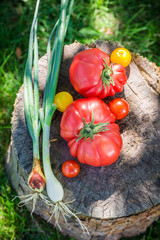 Fresh mix vegetables in sunny day