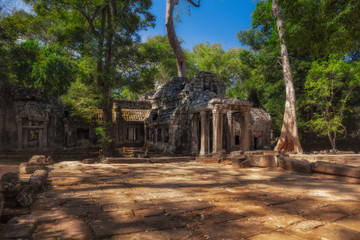 Fototapeta na wymiar SIEM REAP, CAMBODIA. The ruins of Ta Prohm Temple