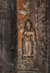 Fototapeta na wymiar SIEM REAP, CAMBODIA. Stone carving Apsara in Ta Prohm temple