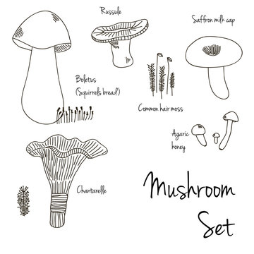 Mushroom and moss monochrome vector set. 