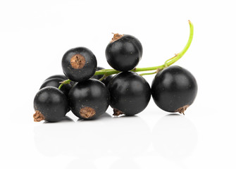 black currant on a white background