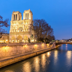 Fototapeta na wymiar Paris Notre Dame at dusk