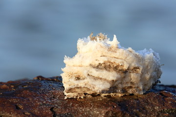 Salt  block-water evaporation ponds. Lake Afrera-Ethiopia. 0150