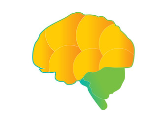  human brain icon