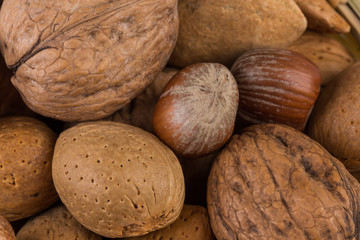 Variety of Mixed Nuts
