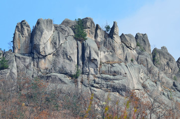 Парк Драконов, Чистоводное, Приморский край