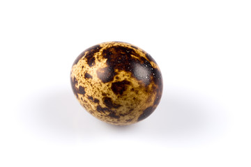 One quail egg