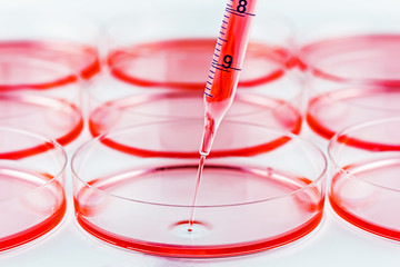Changing medium of a cell culture dish.