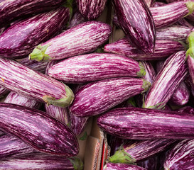 striped eggplants. Purple graffiti eggplant