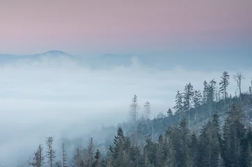 Photo sur Plexiglas Forêt dans le brouillard Montagnes carpates. Gorce dans les nuages, vu de la montagne Luban à Beskidy, Pologne