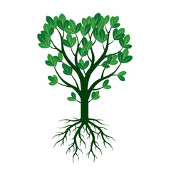 Green Spring Tree and Roots. Vector Illustration.