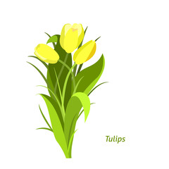 Spring flowers. Tulip. Flet design. Vector illustration © Katerina