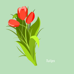 Spring flowers. Tulip. Flet design. Vector illustration © Katerina