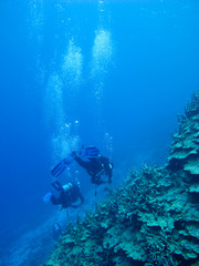 Scuba diving in the deep blue sea