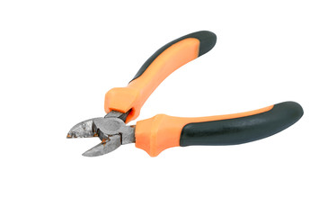Obraz premium Nippers on white