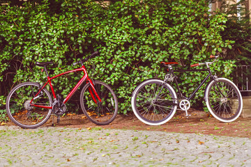 Fototapeta na wymiar Vintage bicycle with green leaf background