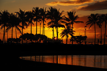 sunset from Waikiki Beach, Honolulu, Oahu, Hawaii
