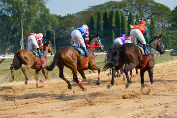 racing horses starting a race