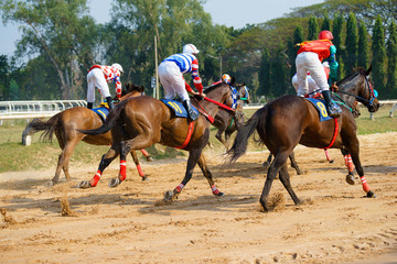 Fototapeta na wymiar racing horses starting a race